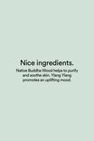 Nice One Hand Wash, NATIVE BUDDHA WOOD & YLANG YLANG - alternate image 3