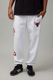 Nba Relaxed Trackpant, LCN NBA SILVER MARLE/BULLS SIDE CURVE - alternate image 2