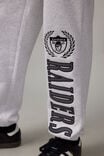 Nfl Relaxed Trackpant, LCN NFL SILVER MARLE/RAIDERS SCRIPT EMB - alternate image 4