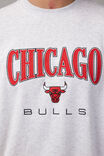 Nba Crew, LCN NBA SILVER MARLE/CHICAGO BULLS - alternate image 4