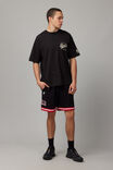 Oversized Nba T Shirt, LCN NBA BLACK/BULLS SUPER CREST - alternate image 2