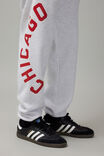 Nba Relaxed Trackpant, LCN NBA SILVER MARLE/BULLS SIDE CURVE - alternate image 4