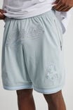 Nfl Basketball Short, LCN NFL ICICLE STEALTH/NEW ENGLAND PATRIOTS - alternate image 4