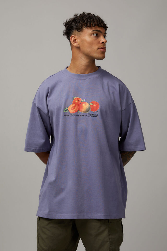 Heavy Weight Box Fit Graphic Tshirt, LAVENDER/FRUITS