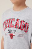 License Drop Shoulder Short Sleeve Tee, LCN NBA FOG GREY MARLE/CHICAGO BULLS EMB - alternate image 2