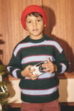 Boys Cosy Crew Neck Sweater, WINTER JADE STRIPE - example image 2