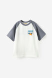 Select Colour: LCN POK STEEL/CHARIZARD