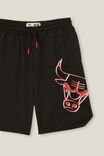 License Mikey Basketball Shorts, LCN NBA PHANTOM/CHICAGO BULLS - alternate image 2