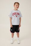 License Drop Shoulder Short Sleeve Tee, LCN NBA FOG GREY MARLE/CHICAGO BULLS EMB - alternate image 4