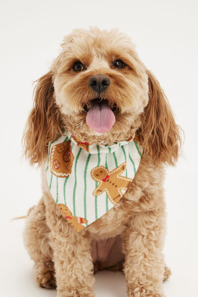 Pet Bandana, MALACHITE/GINGERBREAD STRIPE