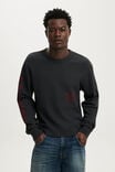 Cropped Fit Textured Graphic Ls T-Shirt, WASHED BLACK / FRONTIER - example image 1
