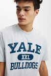 Yale Loose Fit College T-Shirt, LCN YAL LIGHT GREY MARLE/YALE - XXL BULLDOGS - alternate image 4