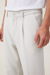 Relaxed Pleated Pant, WASHED STONE - alternate image 4