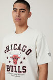 NBA Chicago Bulls Loose Fit T-Shirt, LCN NBA BONE / BULLS - ARCHED STARS - alternate image 4
