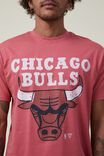 Nba Loose Fit T-Shirt, LCN NBA SOFT RED/CHICAGO BULLS - HAND DRAWN - alternate image 5