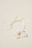 WHITE WRAP ORCHID FLOWER