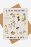 Nice Birthday Card, DRIED FLOWERS BEST BUD
