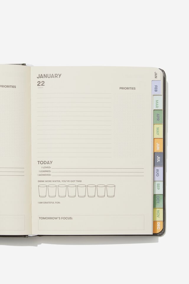 2023 Small Daily Wellness Diary, ZEN FROG