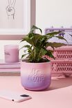 Midi Shaped Planter, BE KIND PALE LILAC OMBRE - alternate image 1