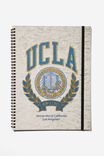 LCN UCL UCLA LOGO