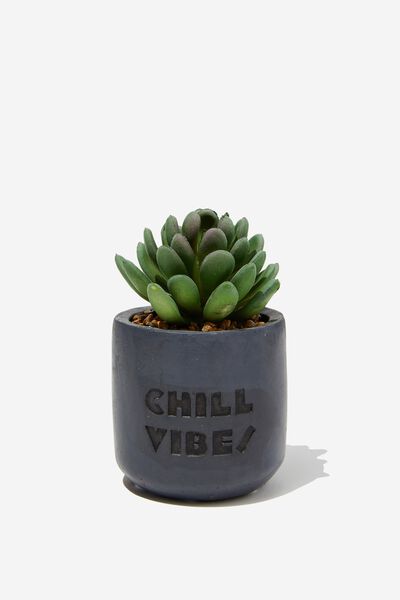 Tiny Planter With Plant, BLACK CHILL VIBES