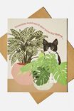 Nice Birthday Card, CAT PLANTS HIDE ILLUSTRATION - alternate image 1