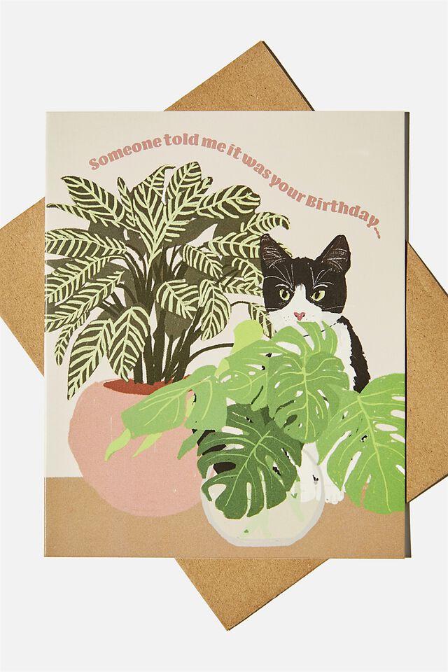 Nice Birthday Card, CAT PLANTS HIDE ILLUSTRATION