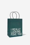 Get Stuffed Gift Bag - Small, I REALLY LUCKING FOVE YOU GREEN - alternate image 1