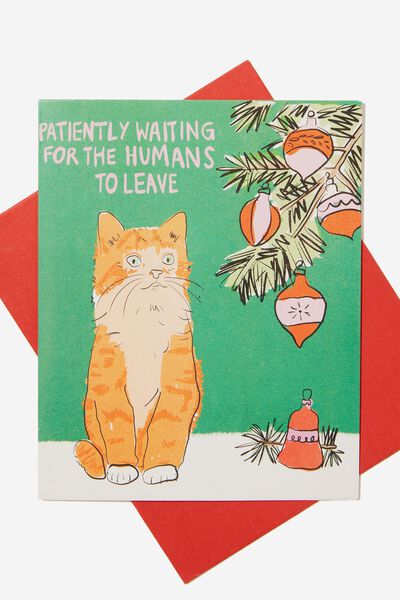 Christmas Card 2023, CAT WAITING FOR THE HUMANS TO LEAVE