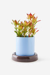 Bulbous Planters, ESPRESSO / BLUE SKIES - example image 2