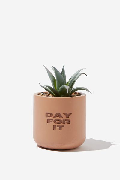 Tiny Planter With Plant, TERRACOTTA DAY FOR IT