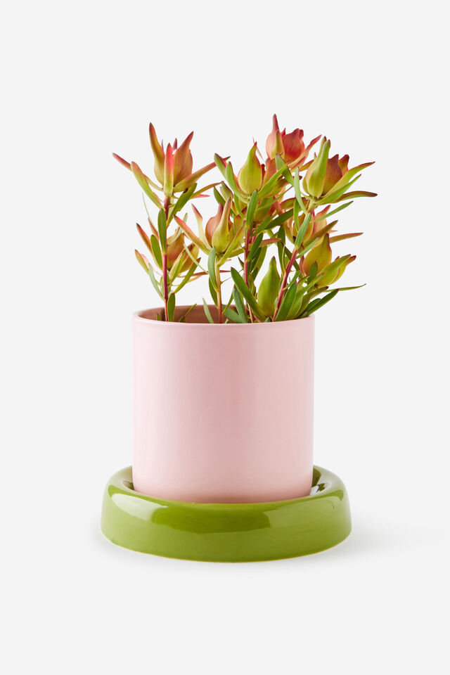 Bulbous Planters, OLIVE MOSS / STRAWBERRY MILK