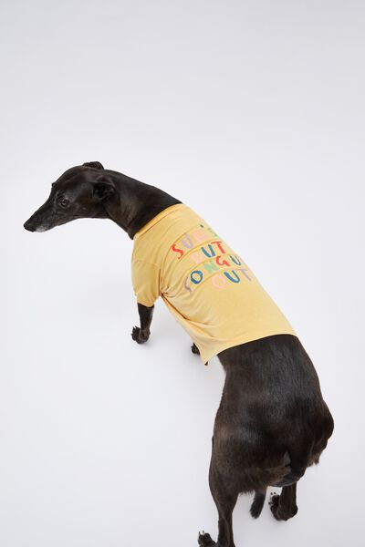 Pet Club Dog Tee, CANTELOUPE TONGUES OUT