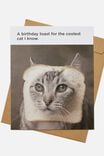 Funny Birthday Card, COOLEST CAT BIRTHDAY TOAST MEME - alternate image 1
