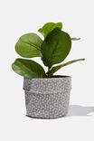 Canvas Planters, STAMP DAISY GREY SCALE - alternate image 1