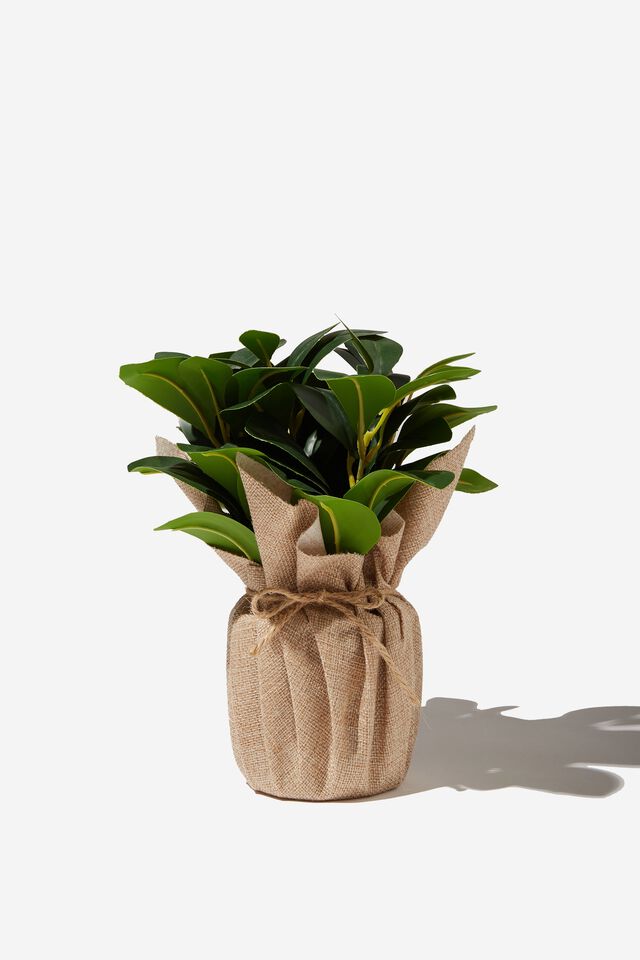 Faux Real - Mid Sized Plant, RUBBER PLANT