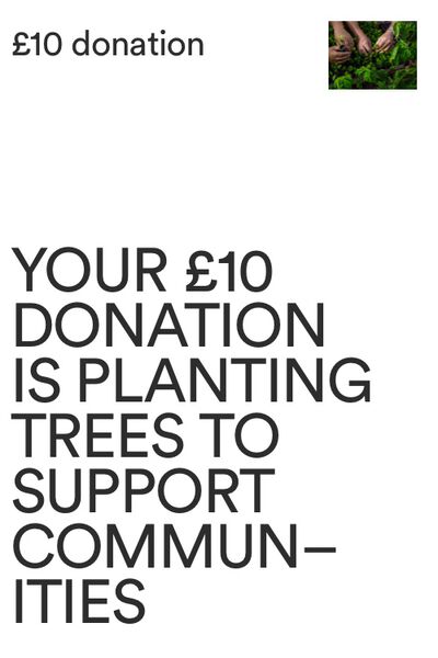 One Tree Planted Donation UK, One Tree Planted Donation UK - 3