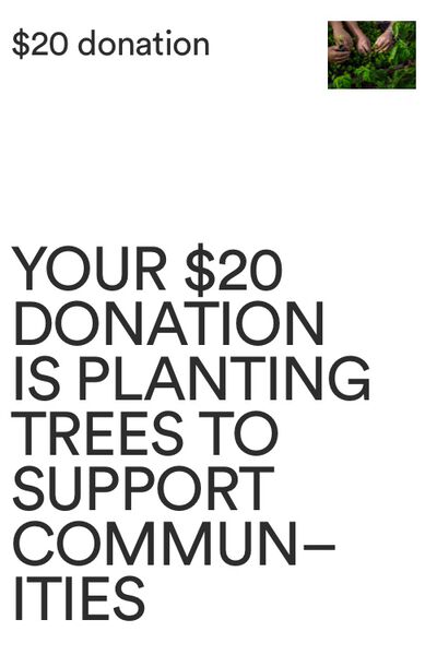 One Tree Planted Donation NZ, One Tree Planted Donation NZ - 3
