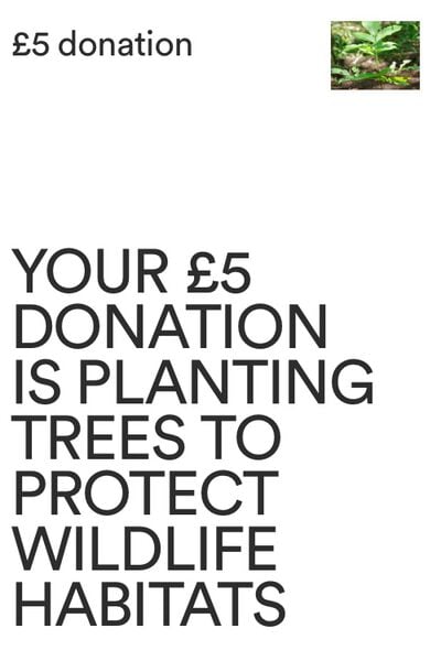 One Tree Planted Donation UK, One Tree Planted Donation UK - 2