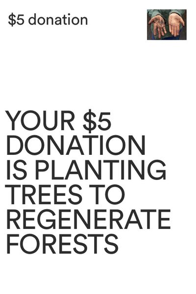 One Tree Planted Donation AU, One Tree Planted Donation AU - 1