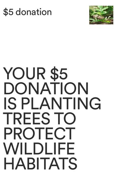 One Tree Planted Donation US, One Tree Planted Donation US - 2