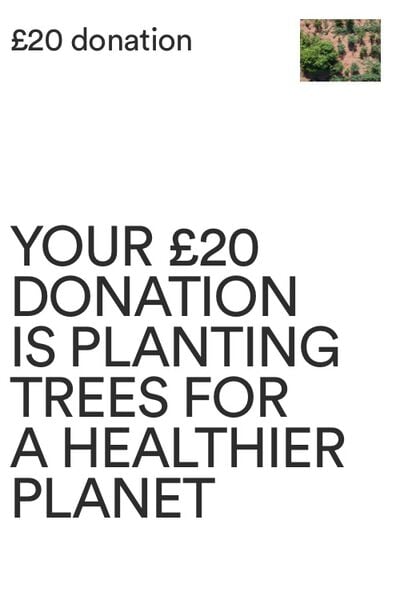 One Tree Planted Donation UK, One Tree Planted Donation UK - 4