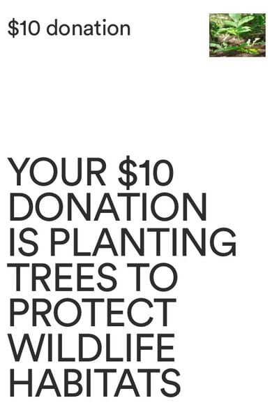 One Tree Planted Donation AU, One Tree Planted Donation AU - 2