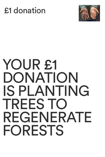 One Tree Planted Donation UK, One Tree Planted Donation UK - 1