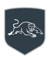 Click to Shop Panthers