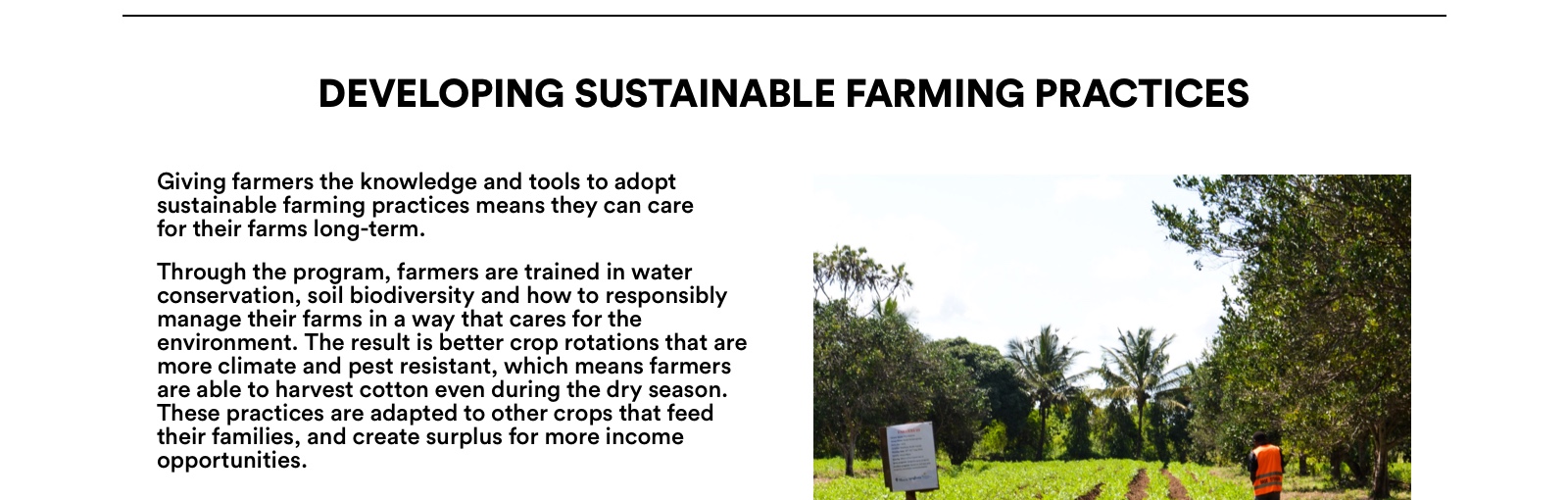 Developing Sustainable Farming Practices. Giving farmers the knowledge and tools to adopt sustainable farming practices means they can care for their farms long-term.