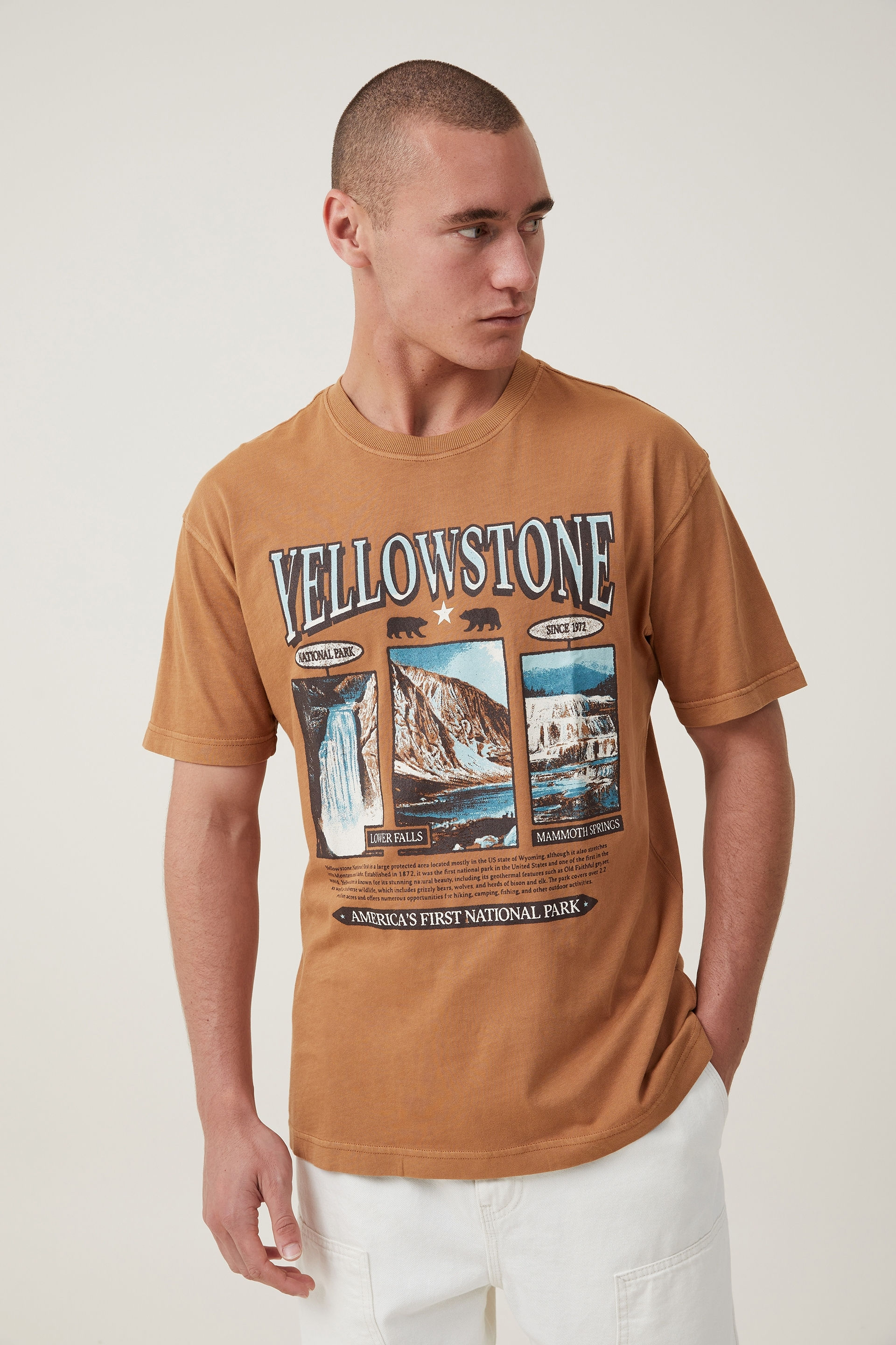 Cotton On Men - Premium Loose Fit Art T-Shirt - Ginger/yellowstone geyser