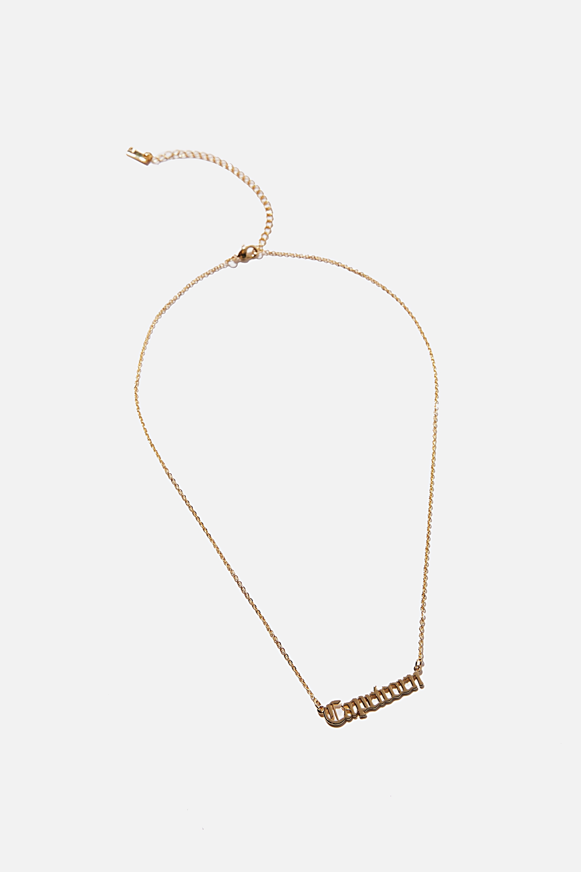 Rubi - Premium Pendant Necklace - Gold plated capricorn