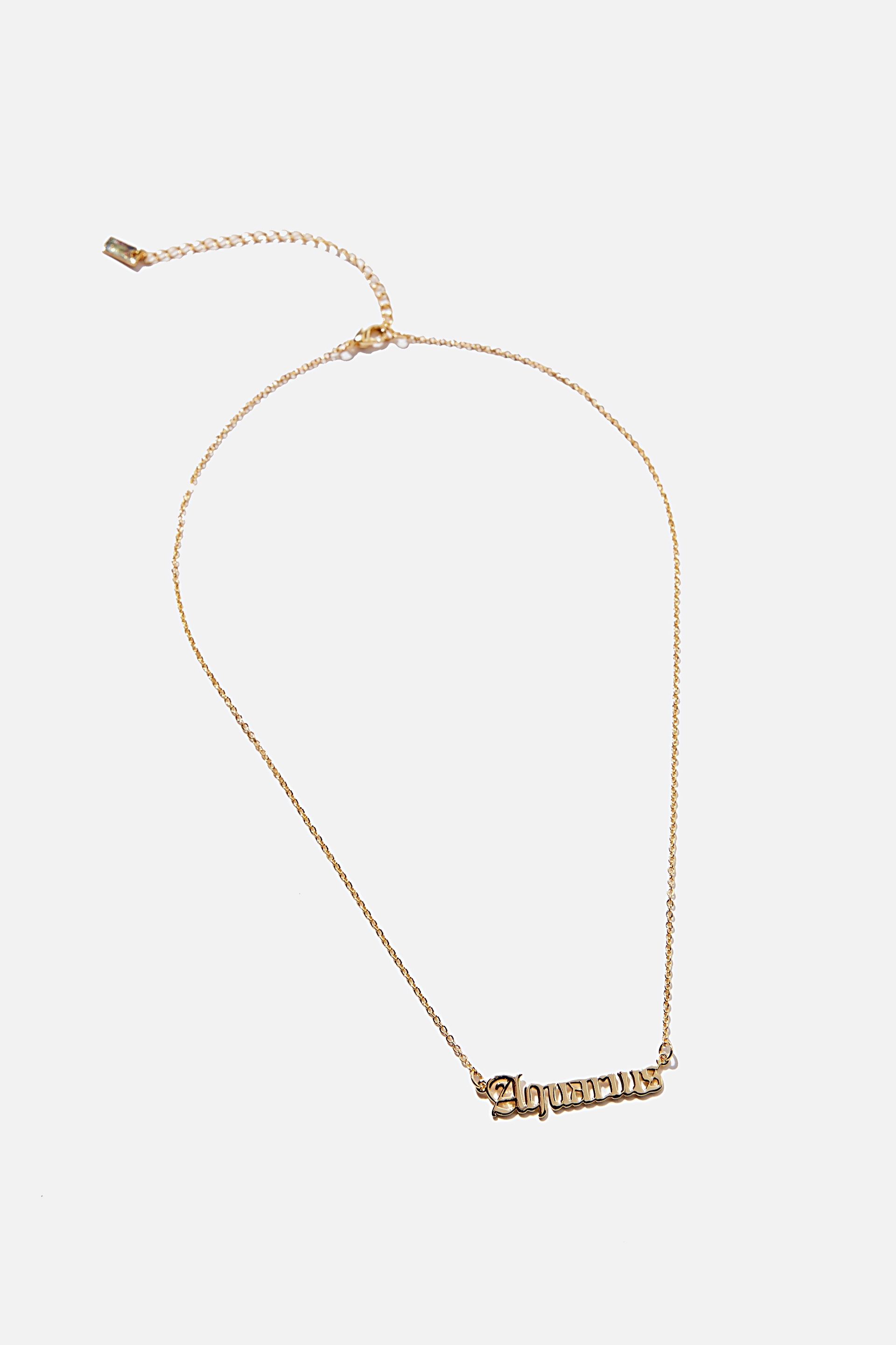 Rubi - Premium Pendant Necklace - Gold plated zodiac aquarius