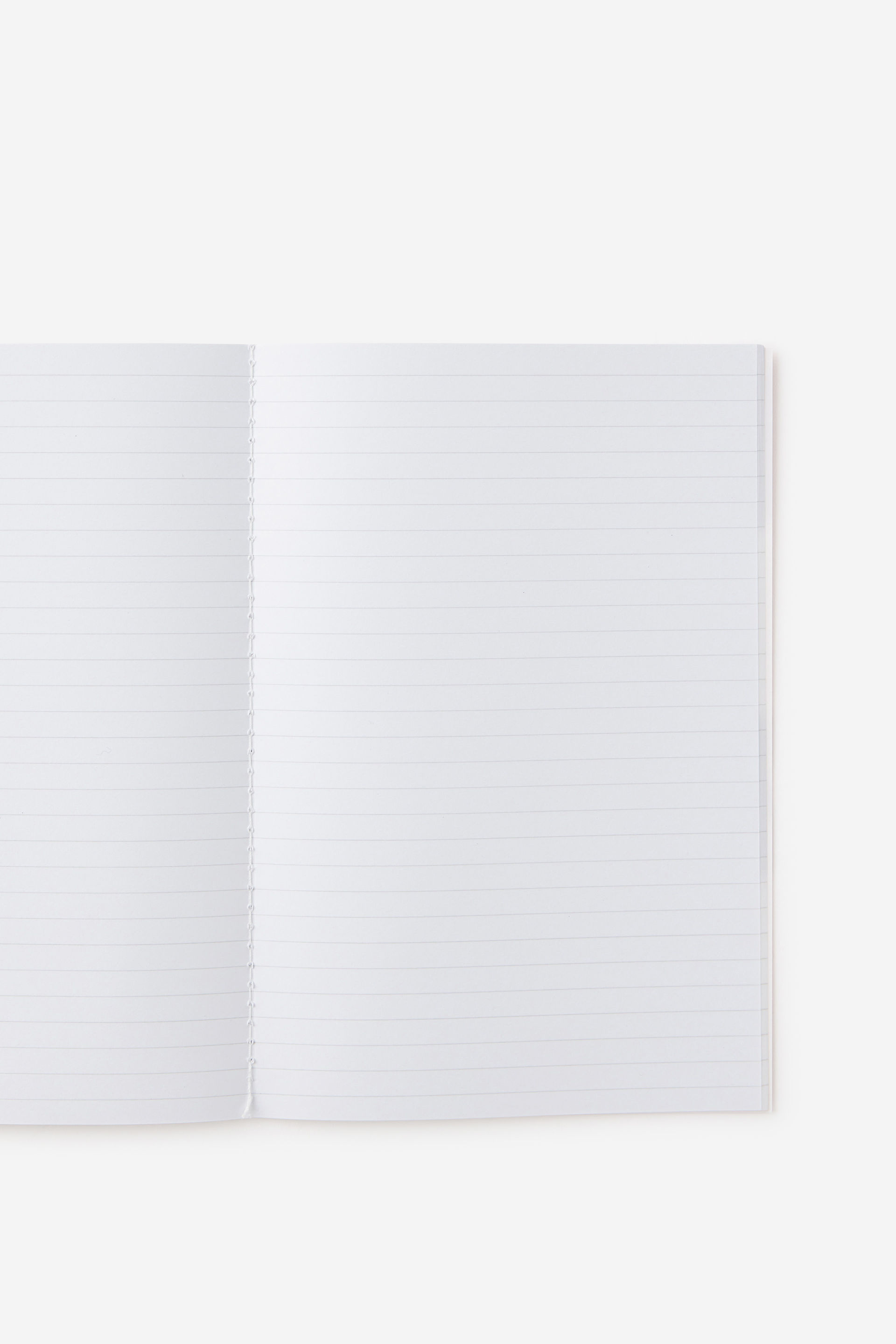 Typo Apple-Themed Notebook Set